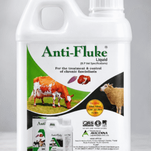 Anti-Fluke