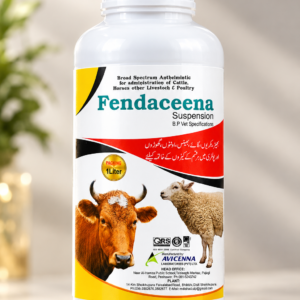 Fendaceena Suspension